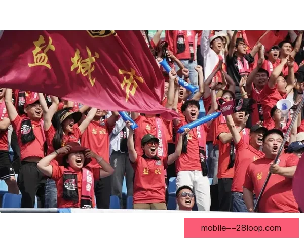 2026世界杯主办城市多伦多宣布建设专门球迷临时露营地迎接赛事